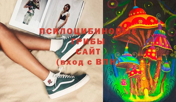 стафф Медногорск