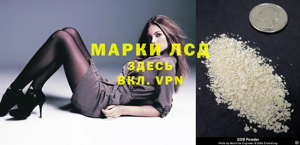 PSILOCYBIN Медвежьегорск