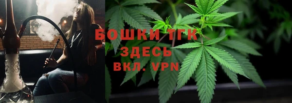 PSILOCYBIN Медвежьегорск