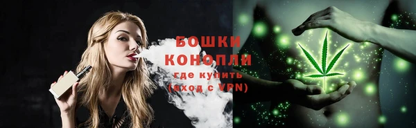 PSILOCYBIN Медвежьегорск