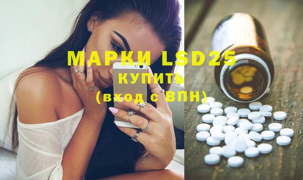 стафф Медногорск