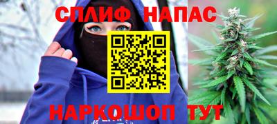 гидра Аргун