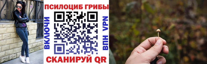 Галлюциногенные грибы Psilocybe  Курск 