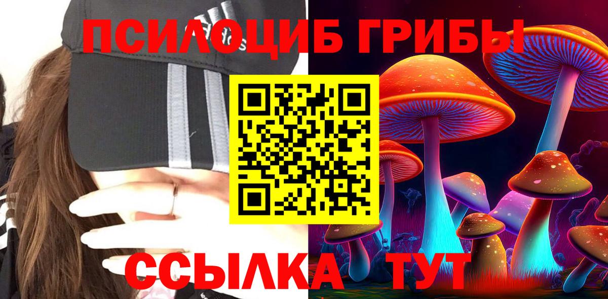Псилоцибиновые грибы Psilocybe Курск