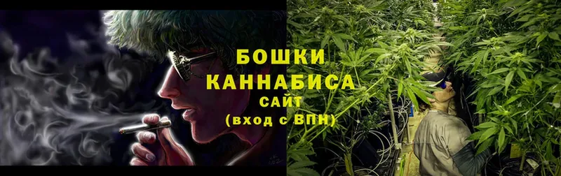 Бошки марихуана White Widow  наркота  Курск 